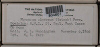 Image Associated With the Occurence
